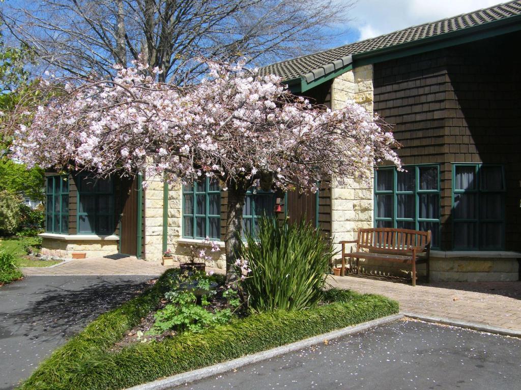 Cambridge Mews Motel Ngoại thất bức ảnh